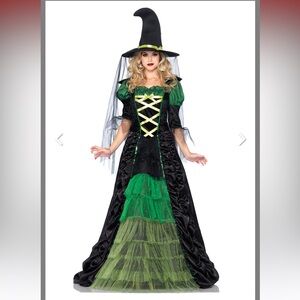 Woman’s Storybook Witch Costume